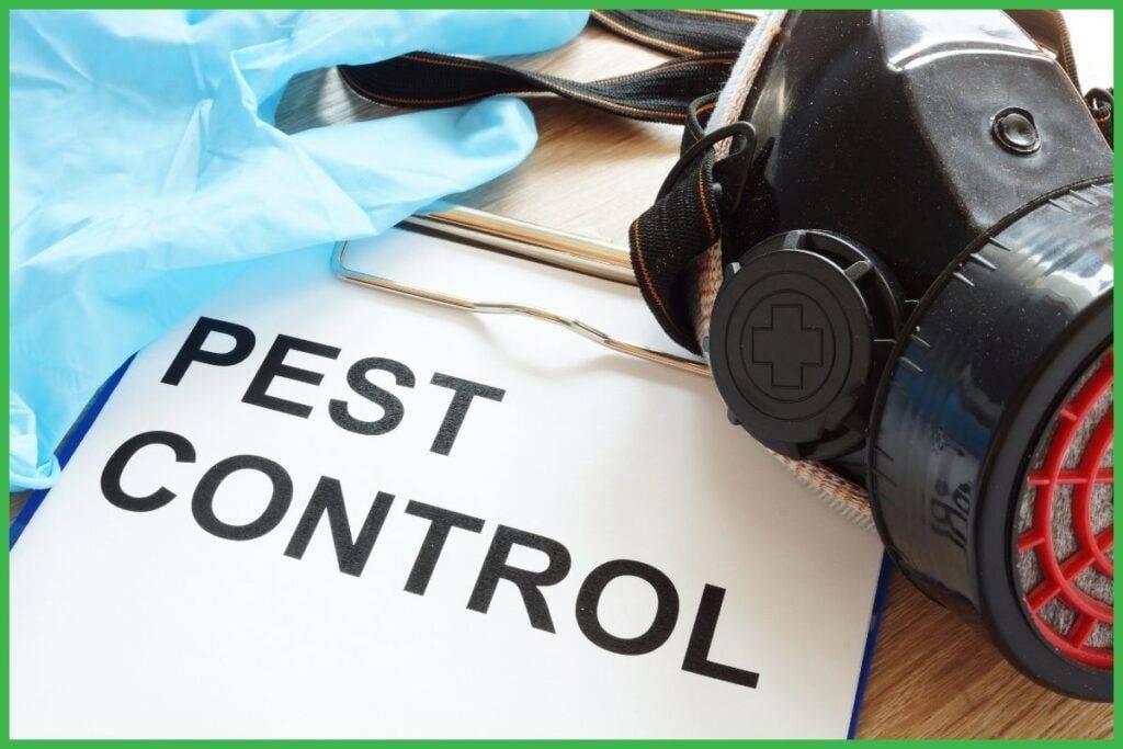 pest control to show the pest control products you don't know about but should know