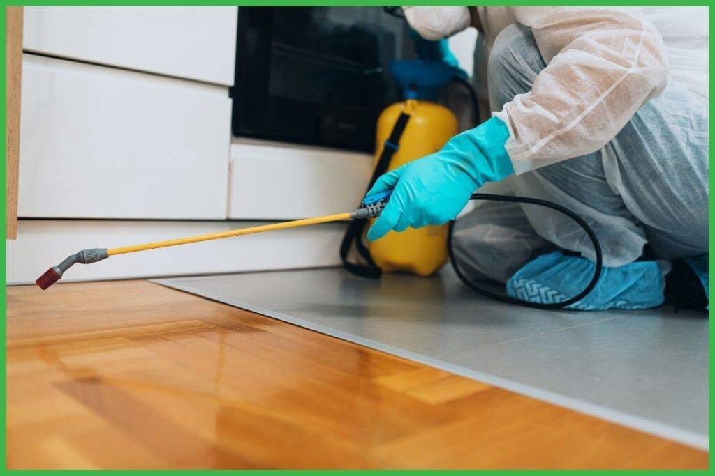 pest control worker to show some pest control service myths