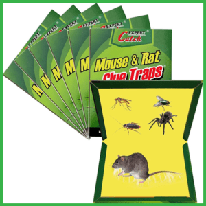 rats and mice glue trap