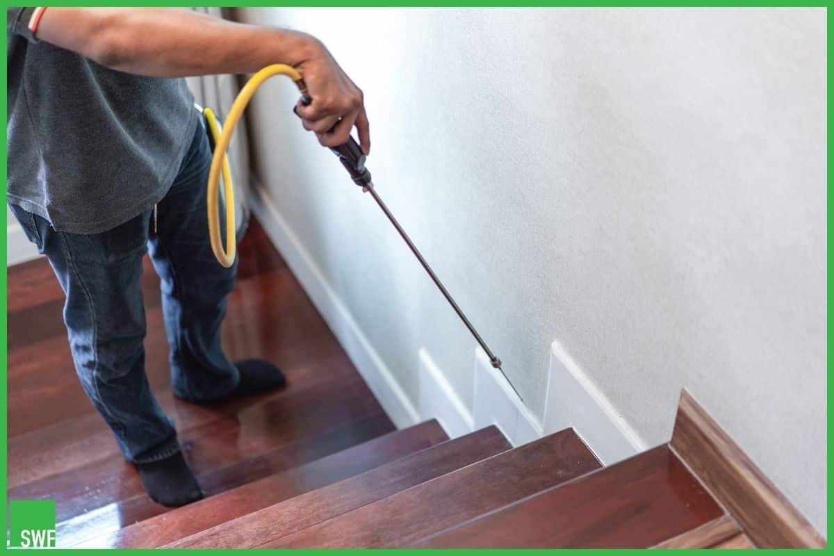 دليل تنظيف منزلك بعد مكافحة الحشرات