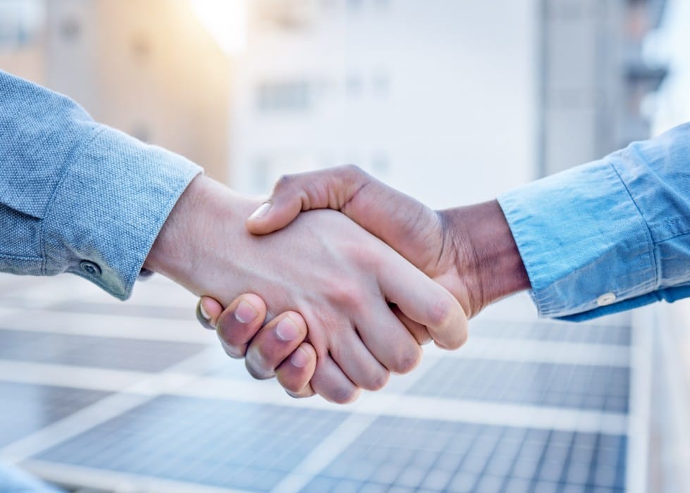 الاستعانة بشركة مكافحة حشرات محترفة