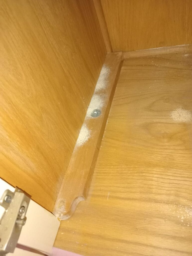 ماذا يفعل سوس الخشب في أثاث منزلك