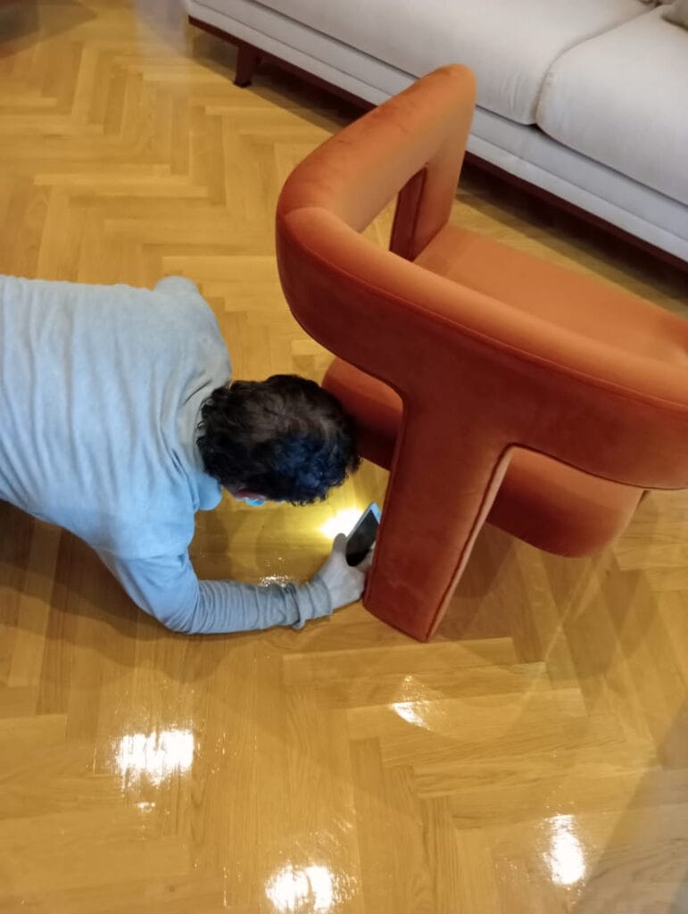 مكافحة سوس الخشب ودود الخشب