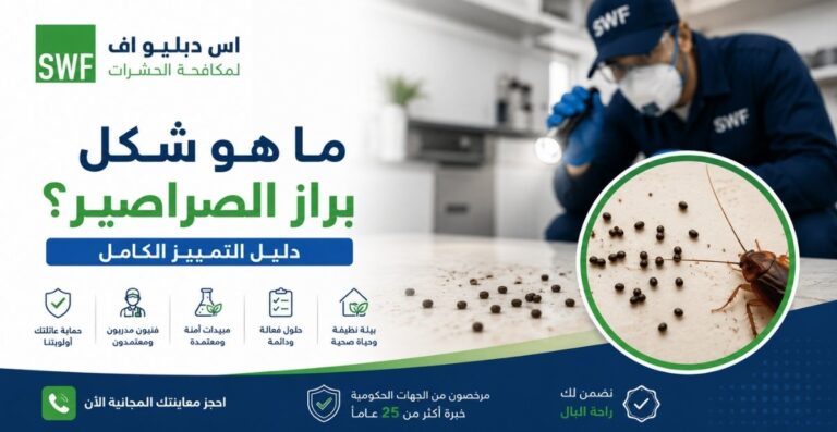 شكل براز الصراصير